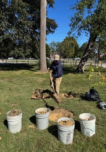 Tree Planting at Fairlington Tree Planting at Fairlington
